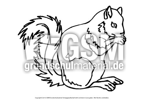 ausmalbilder a und b hörnchen ausmalbilder a und b hörnchen